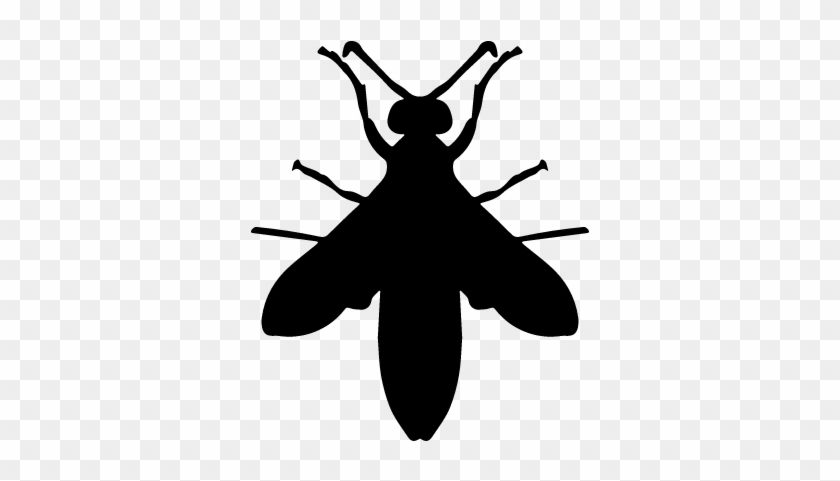 Wasp Silhouette Vector - Wasp Silhouette #924794