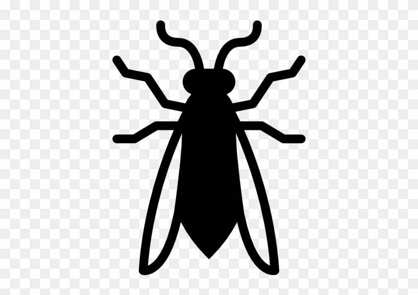 Wasp Free Icon - Bee #924864