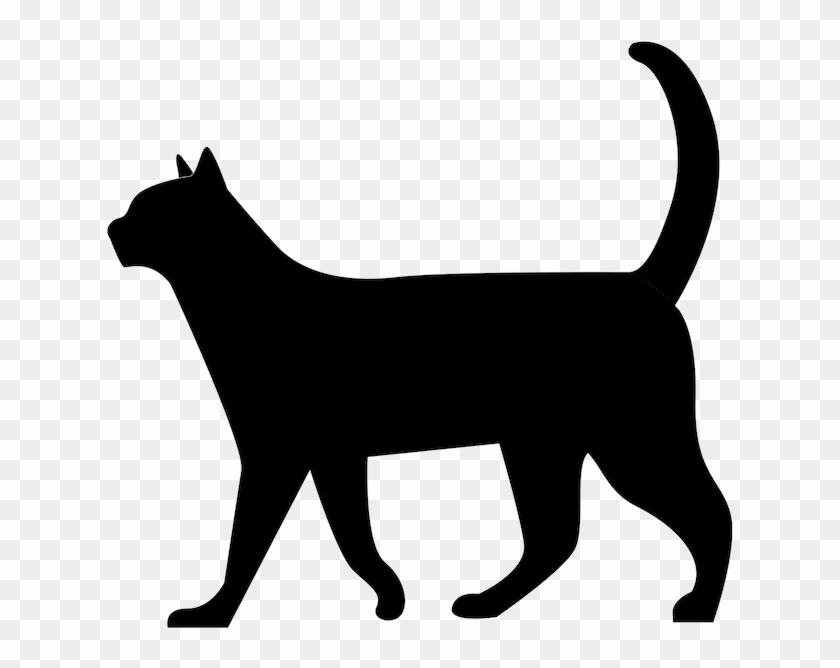 Invisible Lioness - Black Cat Walking Silhouette #925047