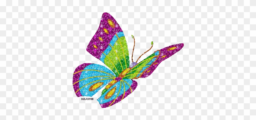Ladybird - Butterfly Color-full - Motylki Gif #925102