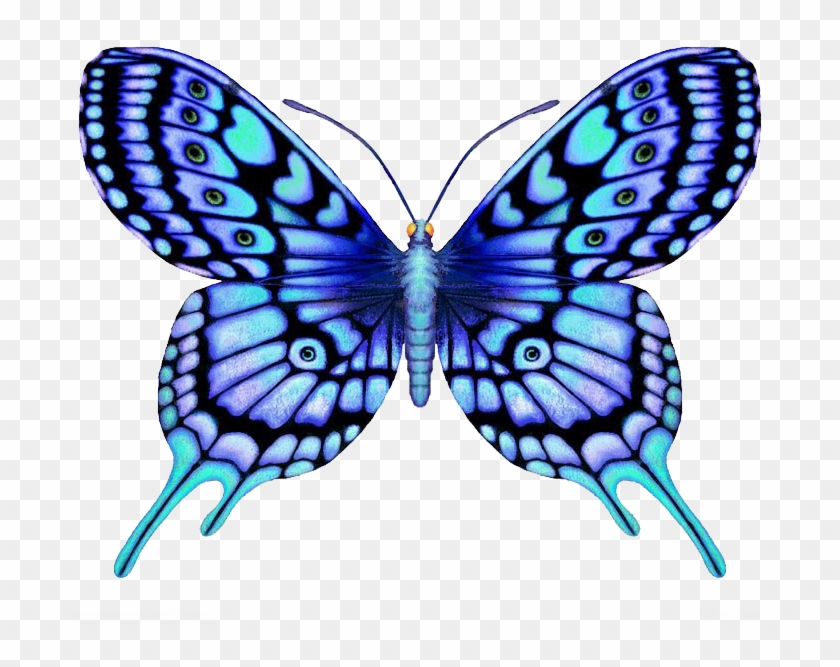 Butterfly Tattoo Large Blue Color - Butterfly Designs #925171