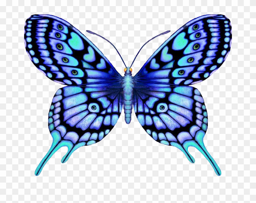 Butterfly Tattoo Large Blue Color - Butterfly Designs #925171