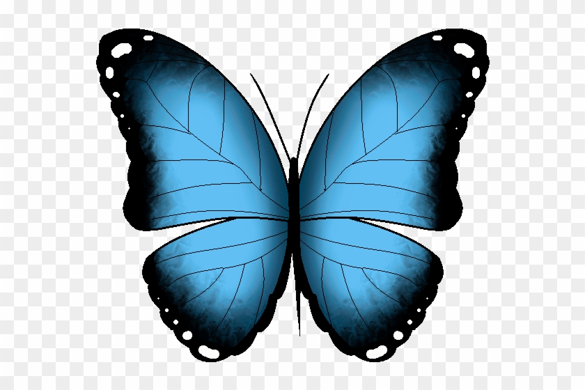 Find, Make For Butterfly Animated Gif Transparent 110yll - Gif - Free  Transparent PNG Clipart Images Download