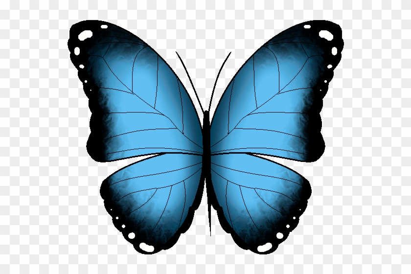 Find, Make For Butterfly Animated Gif Transparent 110yll - Gif #925266