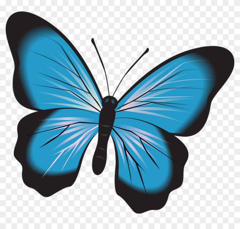 Butterfly Cliparts 7, Buy Clip Art - Papillon Bleu Clipart #925692