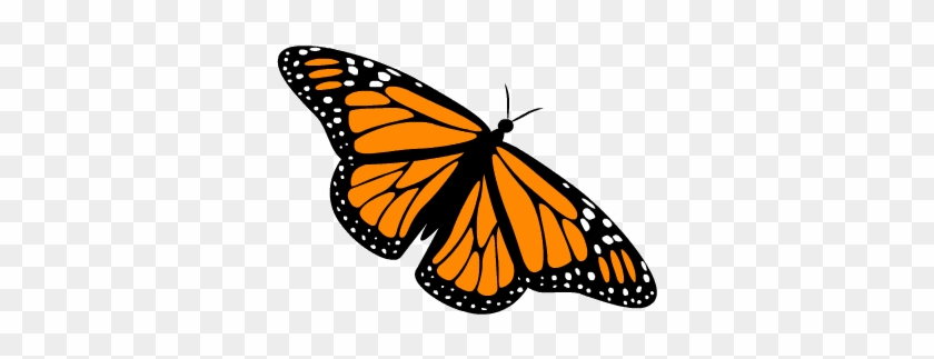 Анимации Бабочек - Monarch Butterfly #925704
