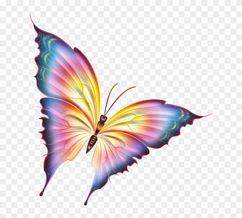 0 A3eb5 7c671e7a Xl - Beautiful Butterfly Png #925727