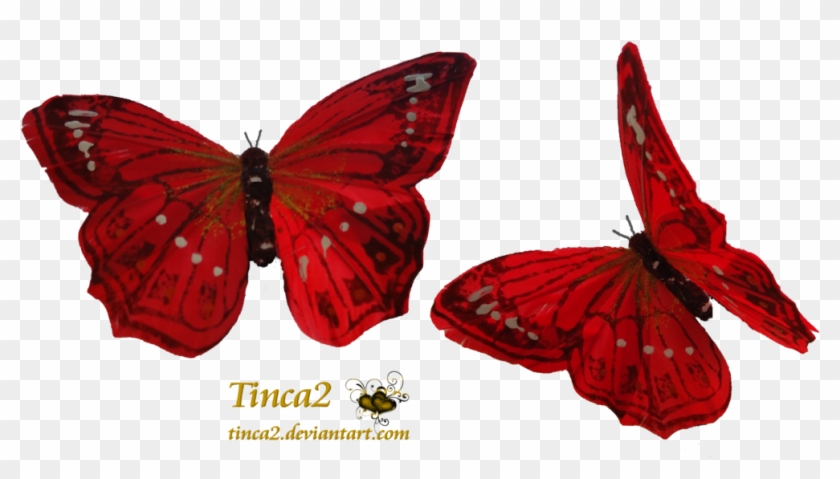 Real Red Butterfly - Red Butterfly Transparent #925732