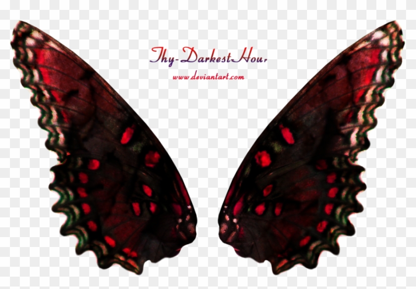Spotted Fairy Wings 02 By Thy Darkest Hour - Black And Red Fairy Wings #925744