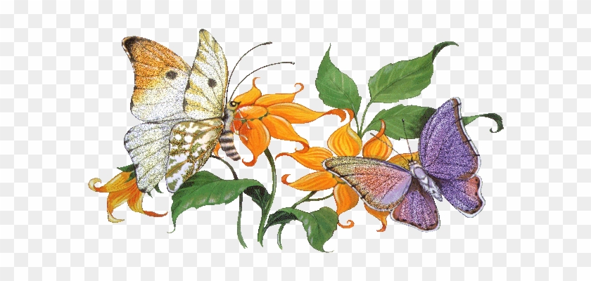 Бабочки На Цветах - Animated Butterfly And Flower Gif #925746
