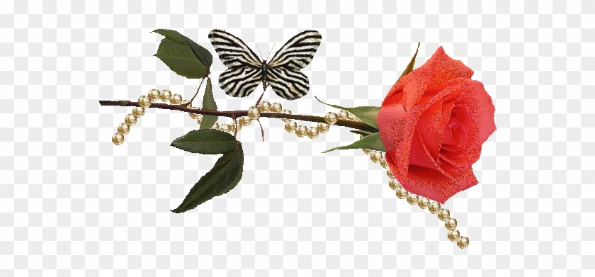 Анимашка Цветок, Бабочка И Нитка Жемчуга - Rose And Butterfly Gifs #925772
