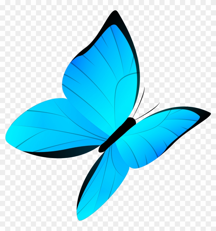 Butterfly Drawing Cartoon - Mariposa Azul Vector #925821