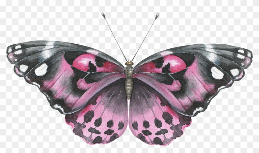 Butterfly Nymphalidae Clip Art - Three Butterflies Backpack By Saraeshak #926141