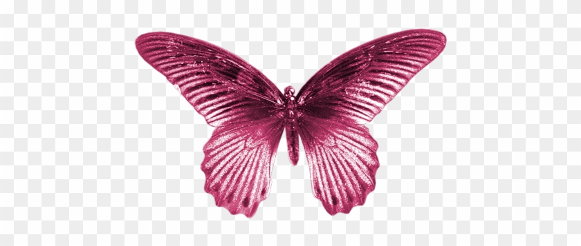 Pink Butterfly Gif - Papilio #926189