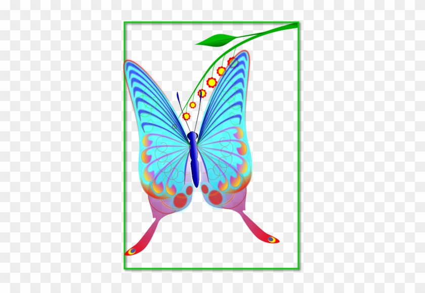 Mariposa Con Muchos Colores - Butterfly #926219