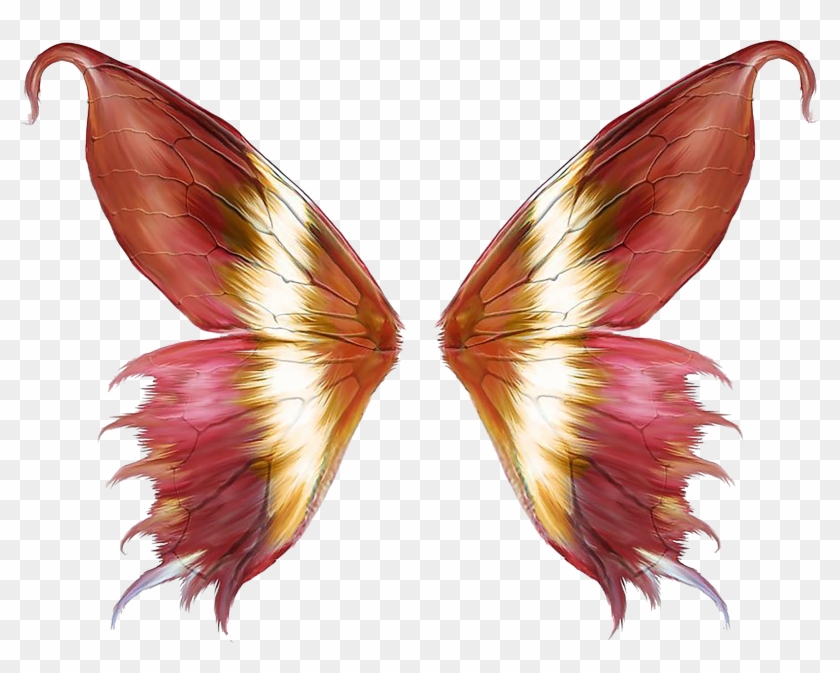 Pink Butterfly Wings - Fairy Wings #926228