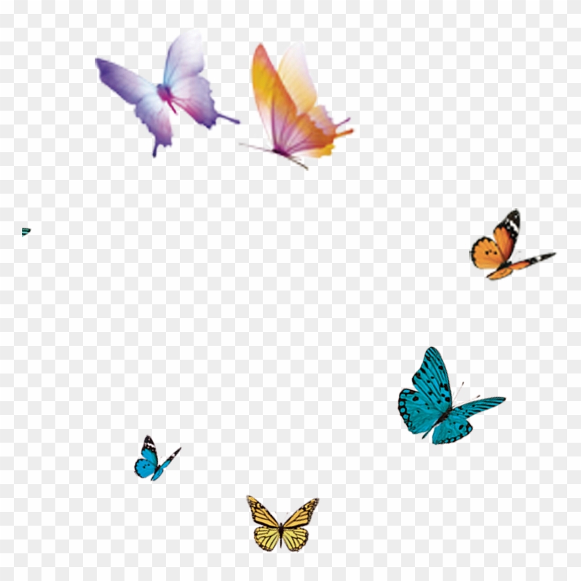 Butterfly Flight Wing - Adobe Incopy Cs2 - Version 4.0 - Media #926344
