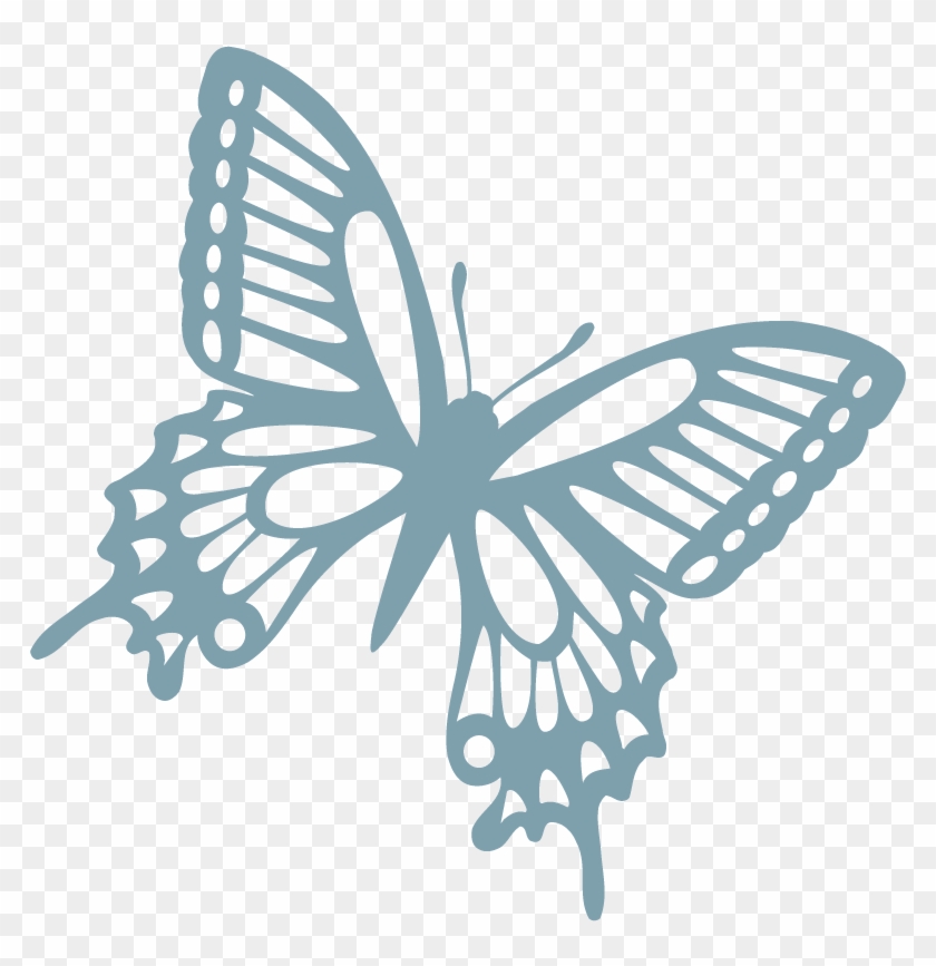 Vinilo Decorativo Mariposa Elegantes Alas - Butterflies And Moths #926360