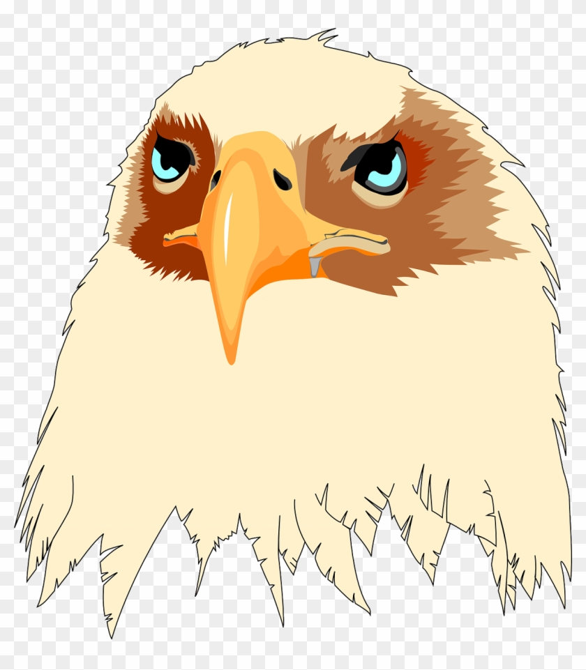 Head Eyes Eagle Tan Bird Beak Png Image - Bald Eagle #926497