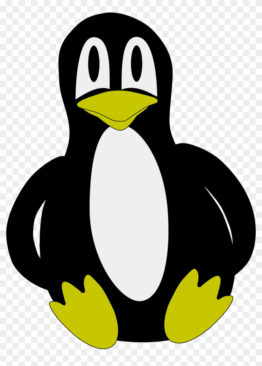 Penguin Flightless Bird Png Image - Penguin Clip Art #926507