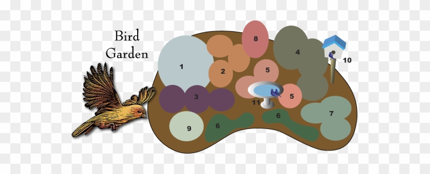 Bird Garden Design - Bird Garden Design #926541