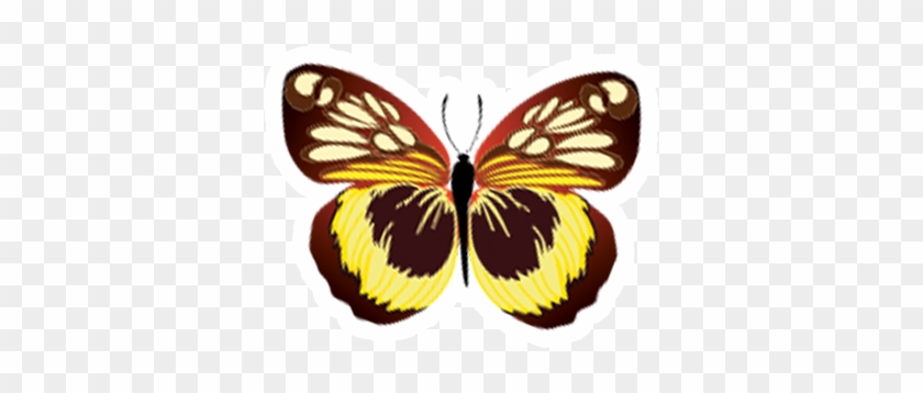 Spinning Mouse - Butterfly Vector Free #926610