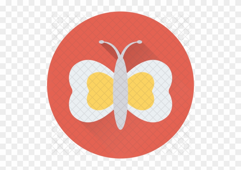 Butterfly Icon - Butterfly #926712
