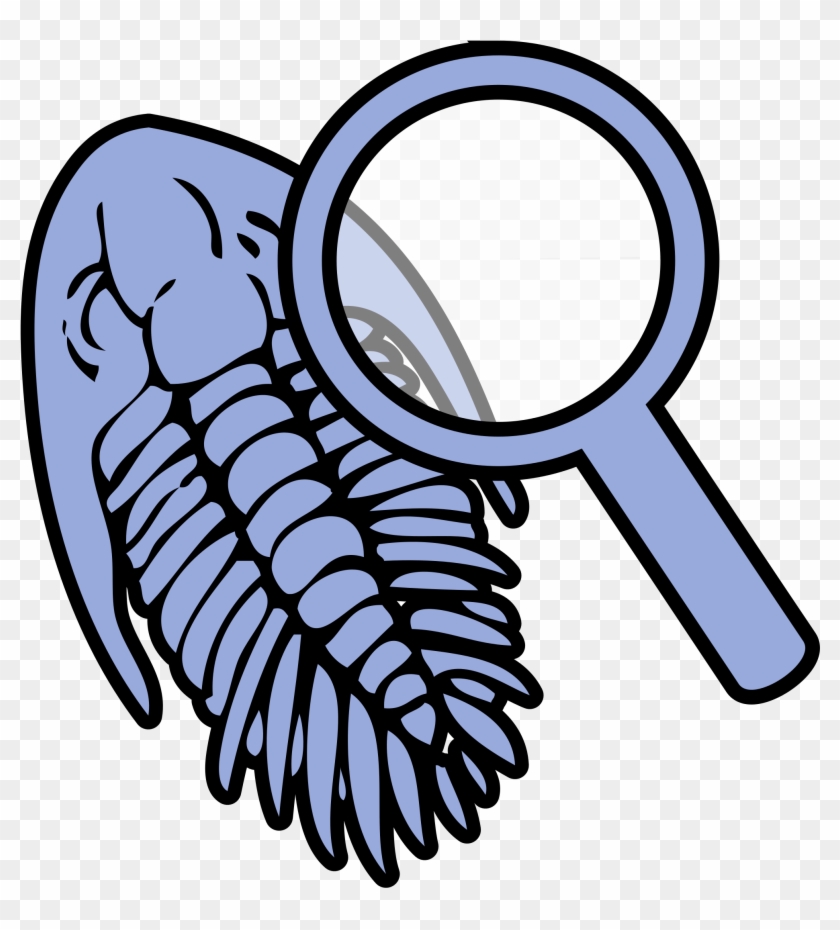 Open - Fossil Clip Art #926728