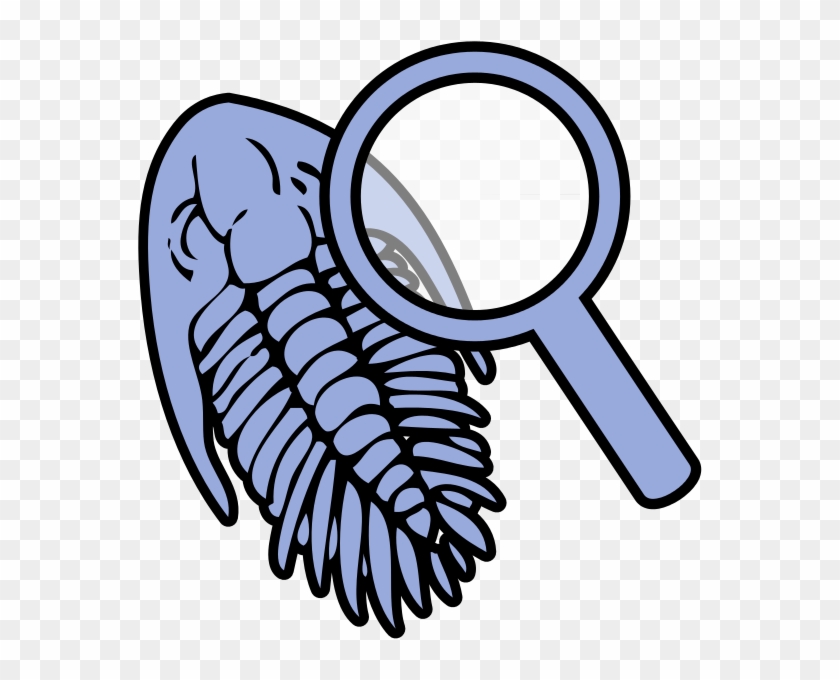 226 × 240 Pixels - Fossil Clip Art #926732