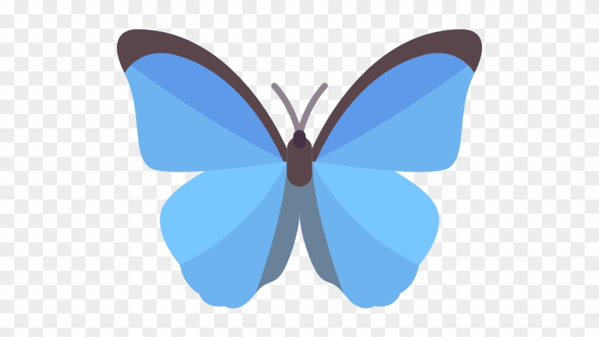 Butterfly Free Icon - Passo Fundo #926769