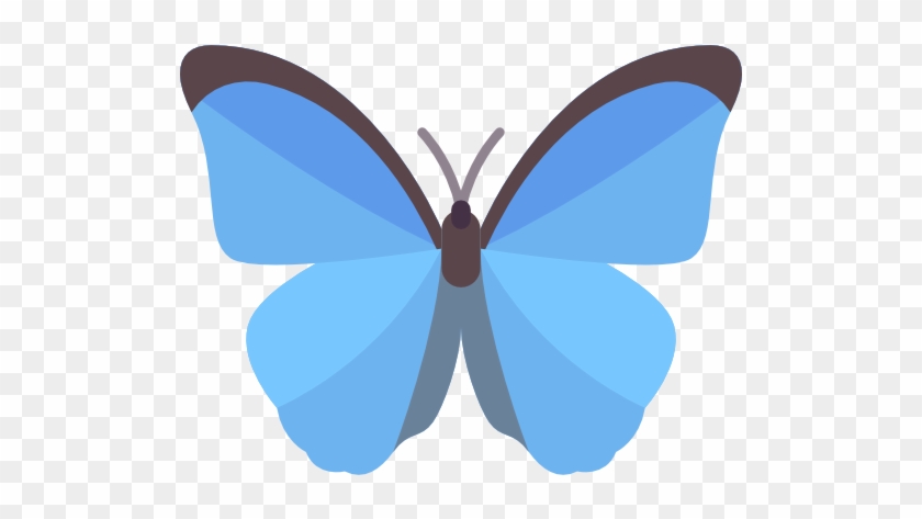 Butterfly Free Icon - Passo Fundo #926769