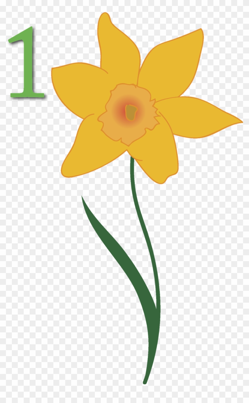 Since I've Been On Vacation This Week, I'm Hoping To - Narcissus #927181