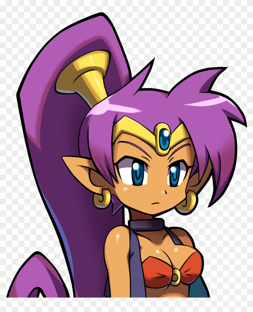 Change The Name Of Autism Back To Sfw Random Please - Shantae Pirate's Curse Art #927309
