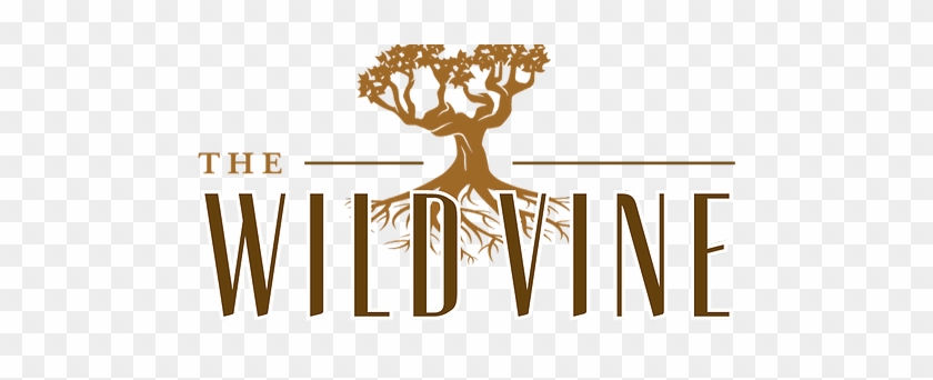 Tapas Lounge & Wine Bar - The Wild Vine Uncorked #927407