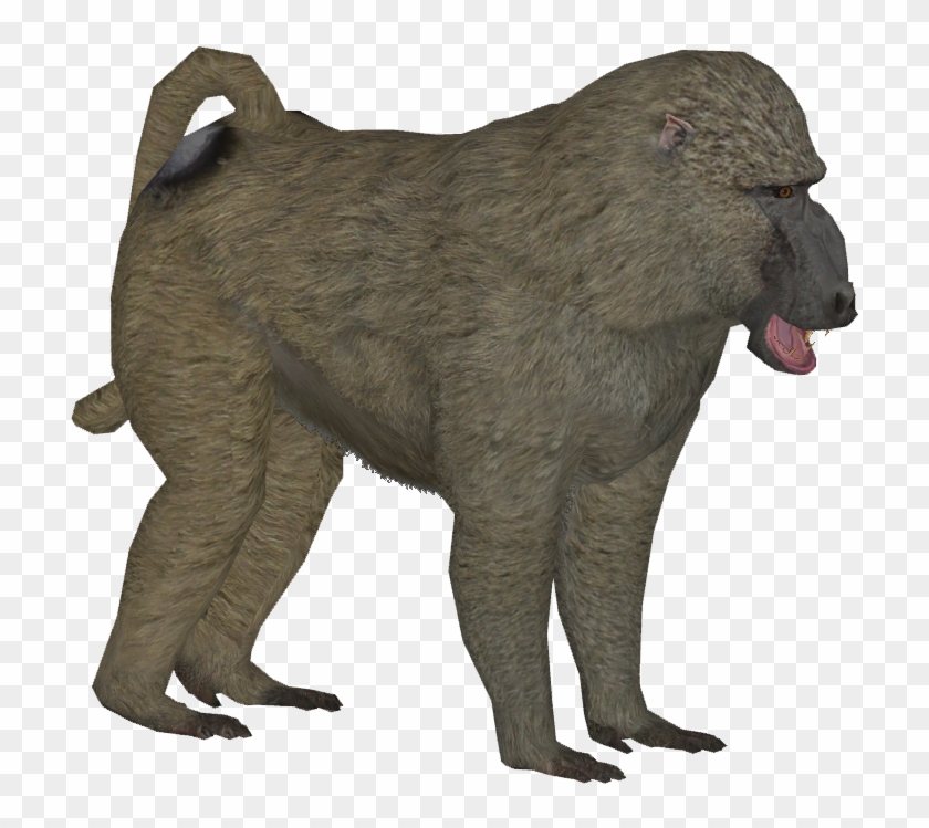 Olive Baboon M - Baboon Png #927421