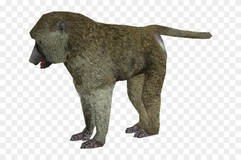 Baboon Png Transparent Images - Baboon Transparent #927442