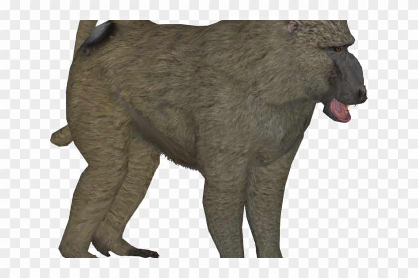 Baboon Png Transparent Images - Baboon Png #927447