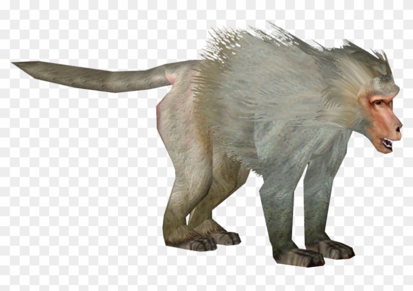 Baboon Png Transparent Images - Hamadryas Baboon Png #927452