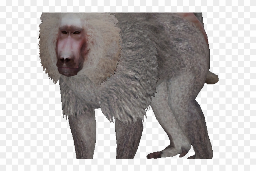 Baboon Png Transparent Images - Zoo Tycoon 2 Hamadryas Baboon #927456