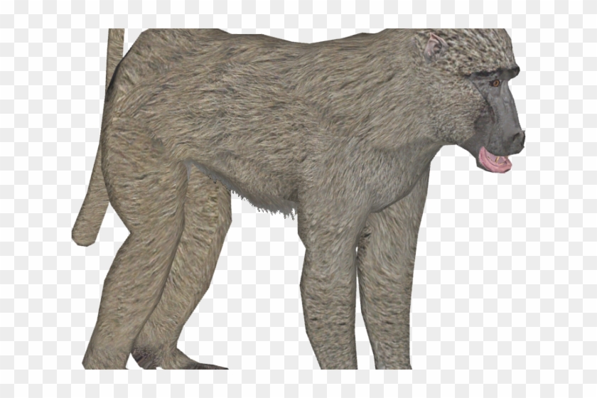 Baboon Png Transparent Images - Baboon #927457