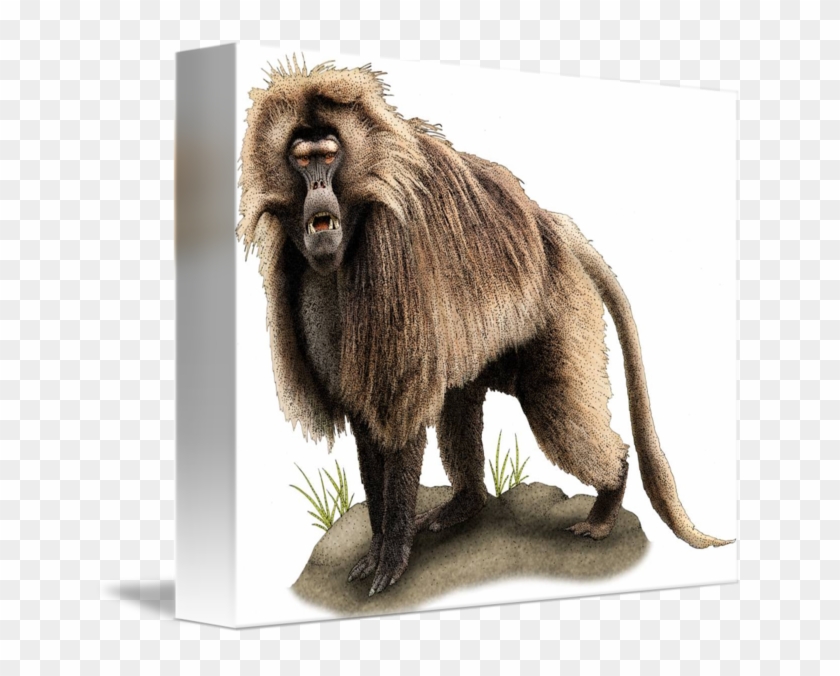 Gelada Baboon Large Mug #927486