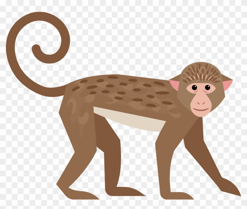 Cute Little Monkey - Long Tail #927508