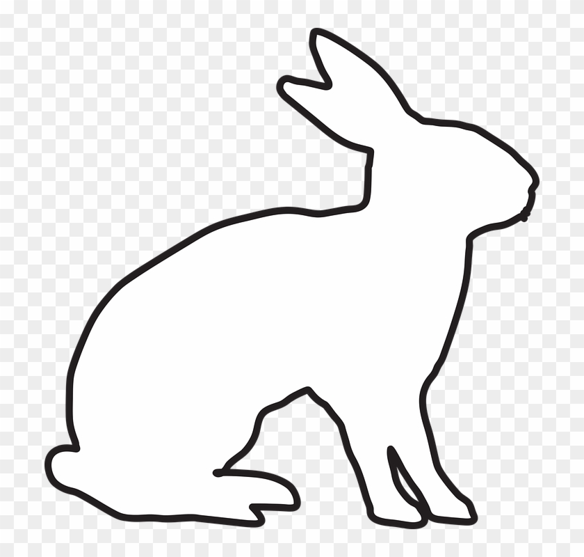 Rabbit, Animal, Bunny, Hare, Ears, Easter Holidays - European Rabbit #927520