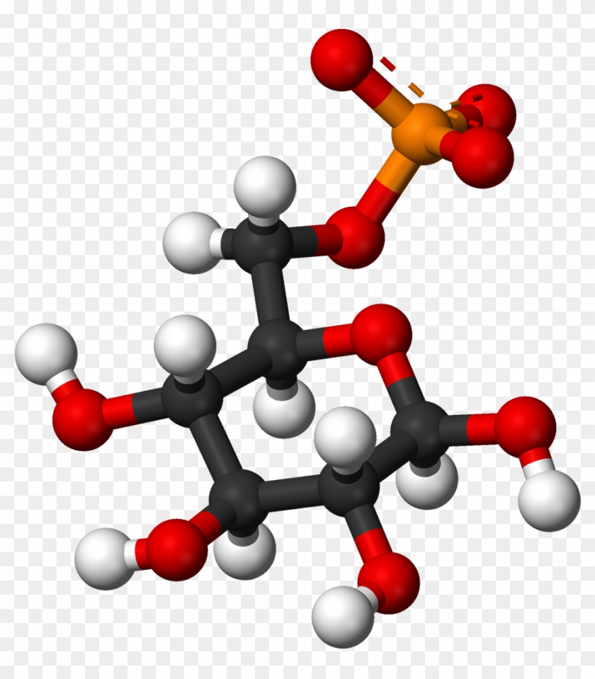 Beta D Glucose 6 Phosphate 3d Balls - Glucosamine 3d Structure #927636