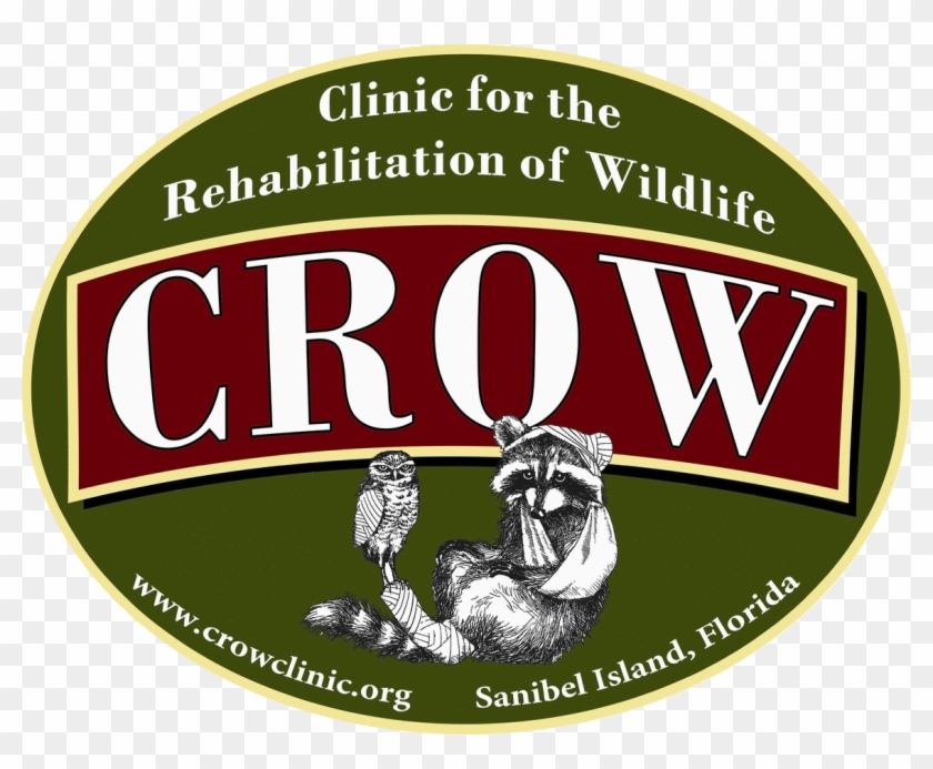 Crow Logo - Goldson Spine #927961