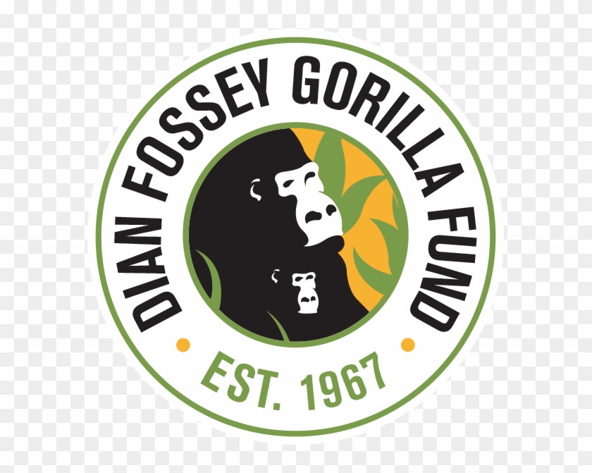 Circle Logo With Lines Color Png - Dian Fossey Gorilla Fund International #928157