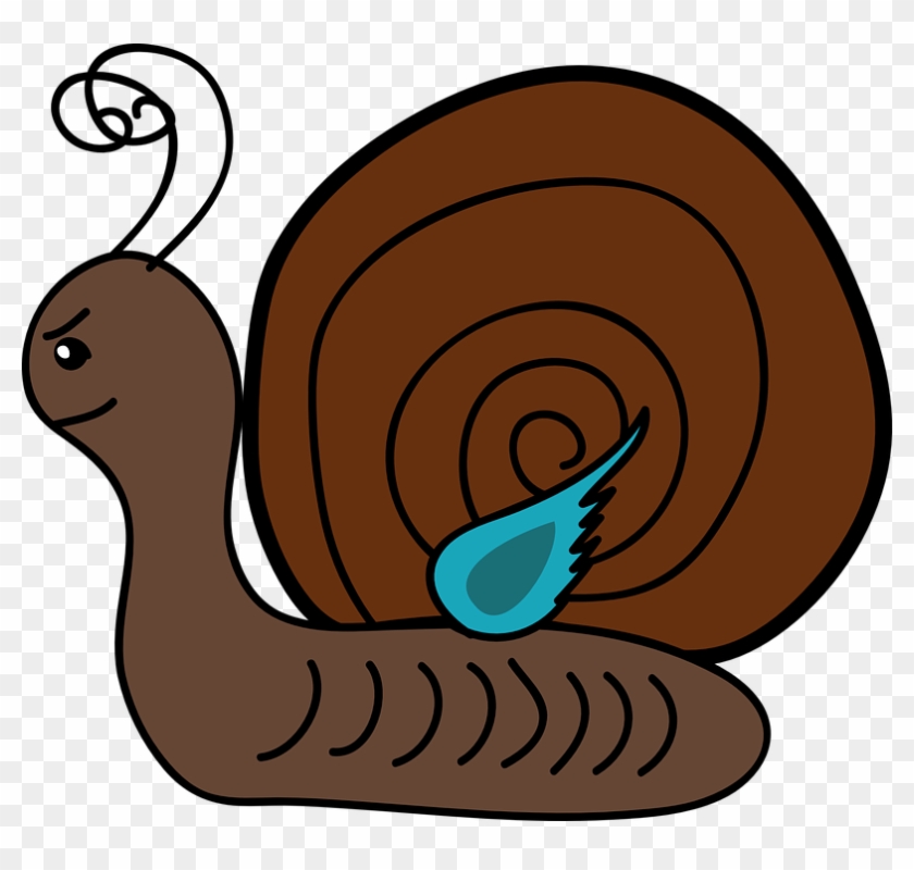 Cartoon Snail 8, Buy Clip Art - Slug Cliparts #928268
