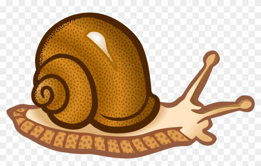 This Free Icons Png Design Of Snail - Snail Cliparts #928294
