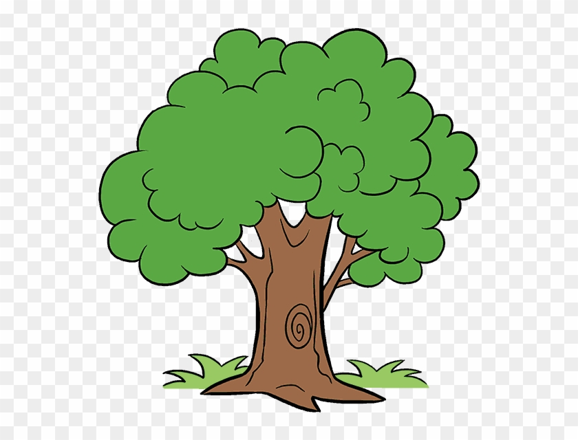 Unlimited Cartoon Tree Picture How To Draw A Easy Step - Draw A Cartoon Tree #928317