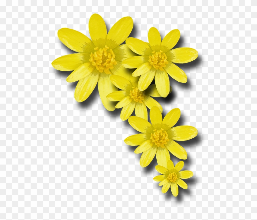 Yellow Flowers, Png V - Yellow Flowers Png #928344